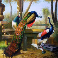 Free online html5 games - Gorgeous Peacock Land Escape HTML5 game 