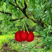 Free online html5 games - Hawaii Grove Forest Escape HTML5 game - Games2rule