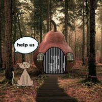 Help Trapped Cat Family