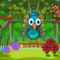 Free online html5 escape games - Infant Peacock Searching Mom