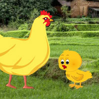 Free online html5 games - Innocent Hen Chick Escape HTML5 game 