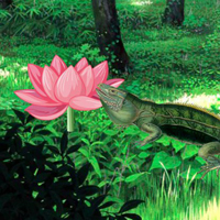 Free online html5 games - Lizard Forest Escape HTML5 game - Games2rule