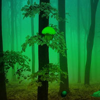 Mistful Forest Escape HTML5
