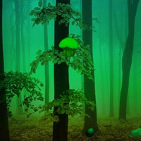 Free online html5 games - Mistful Forest Escape HTML5 game - Games2rule