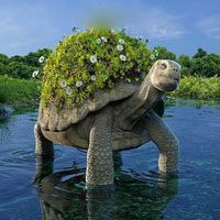Mysterious Tortoise Land Escape HTML5
