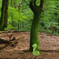 Nature Wooden Forest Escape HTML5