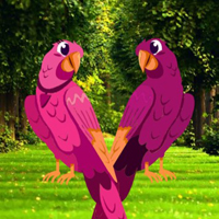 Pinky Bird Pair Escape HTML5