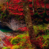 Pleasant Autumn Forest Escape HTML5