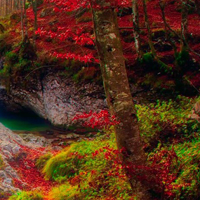 Free online html5 games - Pleasant Autumn Forest Escape HTML5 game - Games2rule