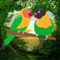 Romantic Parrots Escape