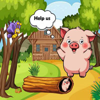Free online html5 escape games - Save Wooden Stuck Tiny Piggy