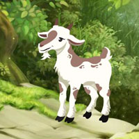 Searching Goat Child HTML5