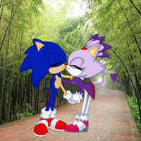 Seeking The Sonic Friend