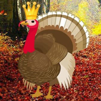 Free online html5 games - Seeking Turkey Family HTML5 game - Games2rule 