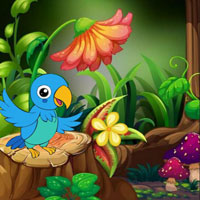 Free online html5 escape games - Stuck Macaw Reached Hut