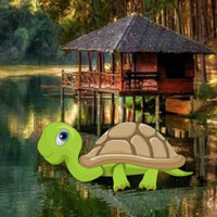 Tortoise Baby Escape HTML5