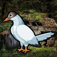 Free online html5 games - Trapped White Crow Escape game - Games2rule