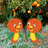 Twin Orange Birds Escape HTML5