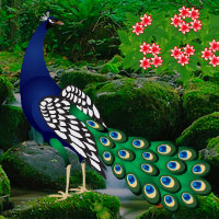 Free online html5 games - Miraculous Daylight Forest Escape game 