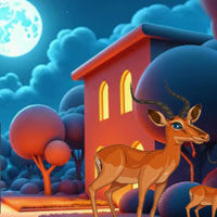 Free online html5 escape games - Raccoon Rescue Escape