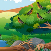 Free online html5 games - G2M Mushroom Forest Escape game 