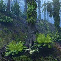 Free online html5 games - Escape From Soothing Forest HTML5 game - Games2rule 