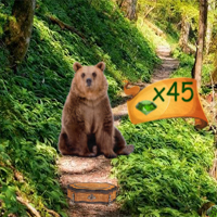 Free online html5 games - EscapeFan Mystic Sunset Forest game - Games2rule 