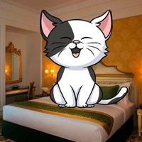Free online html5 escape games - Pet White Cat Escape
