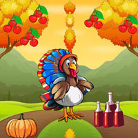 Free online html5 escape games - BIG Turkey Pursuing Missed Girlfriend