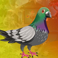 Free online html5 games - G4K Sedate Bird Escape game 