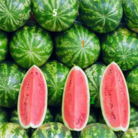 Free online html5 games - Watermelon Hidden Numbers game - Games2rule 