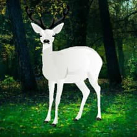 Rescue The Wild White Deer HTML5