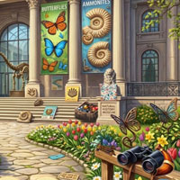 Free online html5 escape games - Curious Mystery