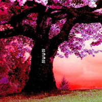Free online html5 games - Fantasy Pink Forest Escape game - Games2rule 