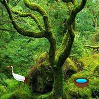 Free online html5 games - Enchanted Mossy Green Forest Escape HTML5 game 
