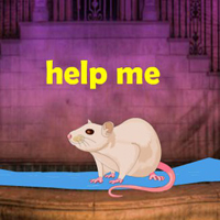 Free online html5 games - Assist The White Rat HTML5 game 