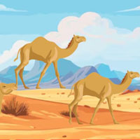 Free online html5 escape games - Desert Camel Rescue