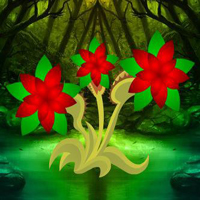 Colorful Night Jungle Escape