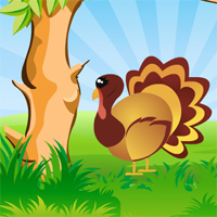 Free online html5 games - Thanksgiving Turkey Hidden Target game 