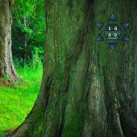 Free online html5 games - Enchanting Fantasy Forest Escape game - Games2rule 