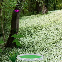Free online html5 games - Escape Butterflies in Flower Forest game 