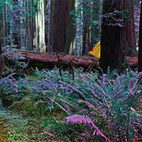 Free online html5 games - ZooGames Railway Crossing Escape game 