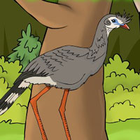 Free online html5 games - G2J Seriema Bird Escape game - Games2rule 