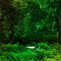 Free online html5 games - WowEscape Save The Green Tortoise game 