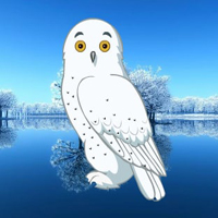 Free online html5 games - Winter Owl Forest Escape HTML5 game 