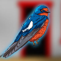 Free online html5 games - G2J Hirundinidae Bird Escape game - Games2rule 