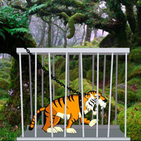 Free online html5 games - Rescue The Sad Tiger game - Games2rule 