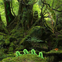 Free online html5 games - Wow Reptiles Forest Escape game 