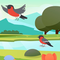 G2M Cluck and Unlock