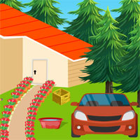 Free online html5 escape games - Energetic Boy Escape
